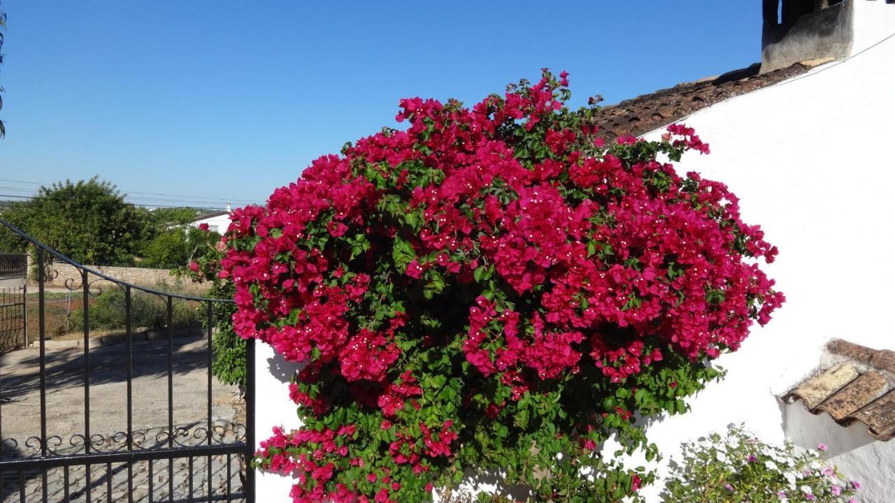 오양 Casa Esperanca - Carefree Living With Big Private Pool And Great Views 빌라 외부 사진