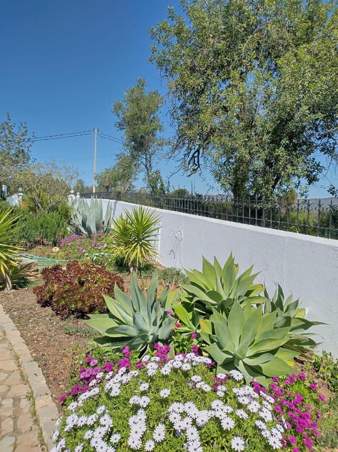 오양 Casa Esperanca - Carefree Living With Big Private Pool And Great Views 빌라 외부 사진